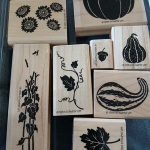 Stampin' Up! FAST 'n FUN FOR FALL 2-STEP Stamp Set -Vintage Retired - MINT